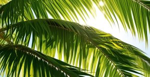 Untitled design – 1